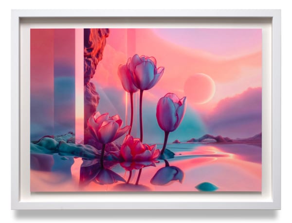 Tulip Futures (Desolation) 4, 2024 Giclée on Hahnemühle photo rag 59.4 x 41.9 cm 23 1/2 x 16 1/2 in (framed) 63.2 x 45.7 cm 25 x 18 in