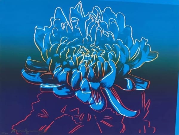 Kiku (F. & S. II.307)