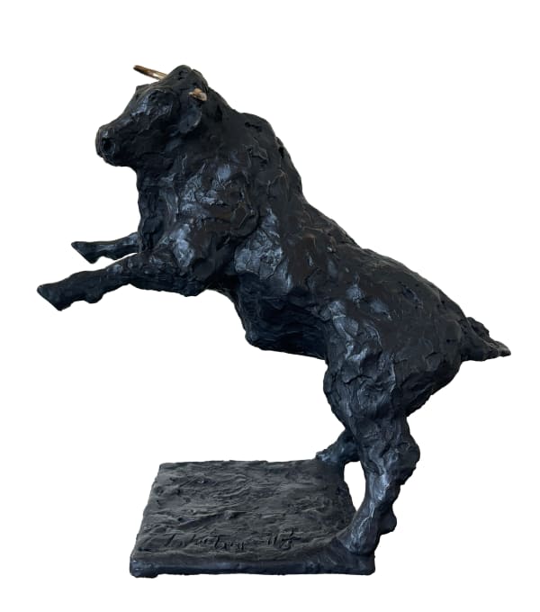 Toro John Fitzgerald