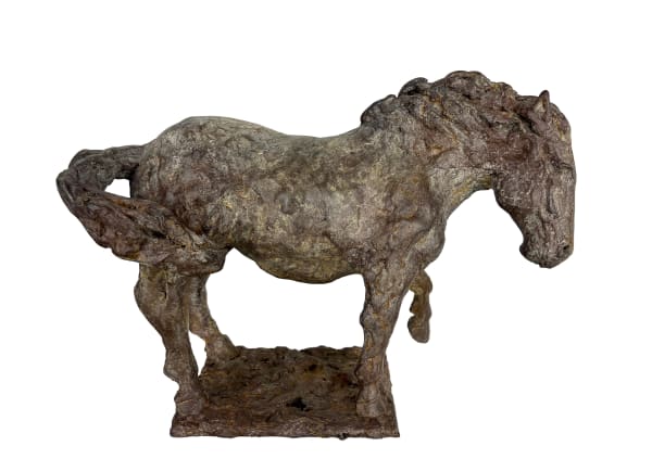 Connemara John Fitzgerald