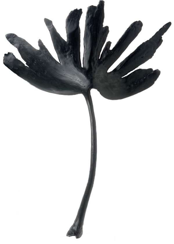 After the Storm Vivienne Roche