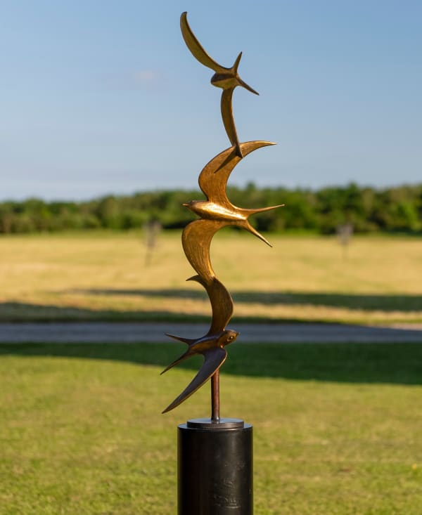 Flying Into the Mind of Wonder