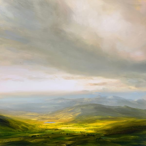 Sunlight Through Morning MIst, 2025 Harry Brioche