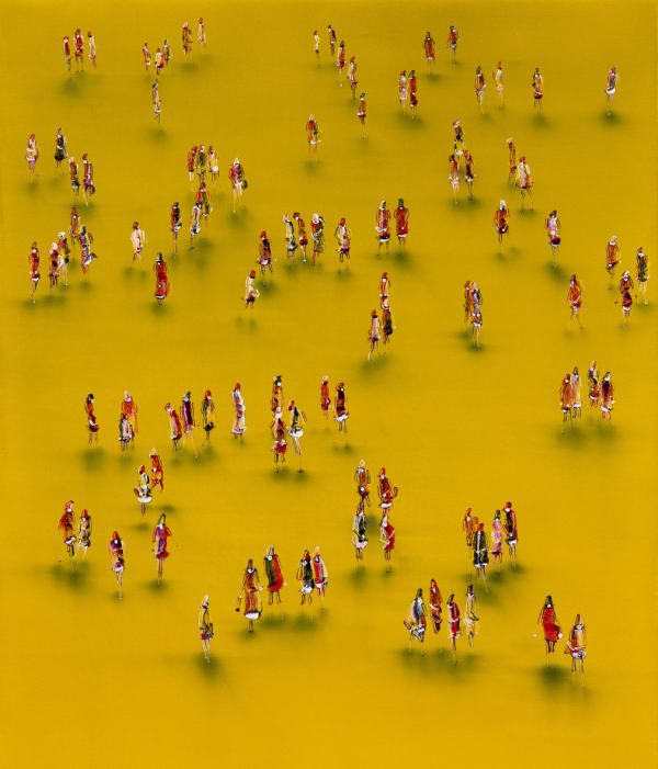 Stephen Forbes, Transition