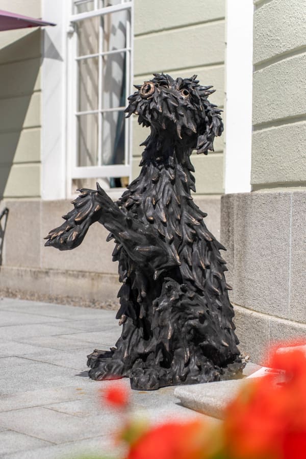 Irish Wolfhound with paw up