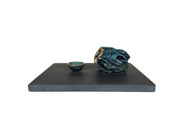 Found and Lost Vivienne Roche