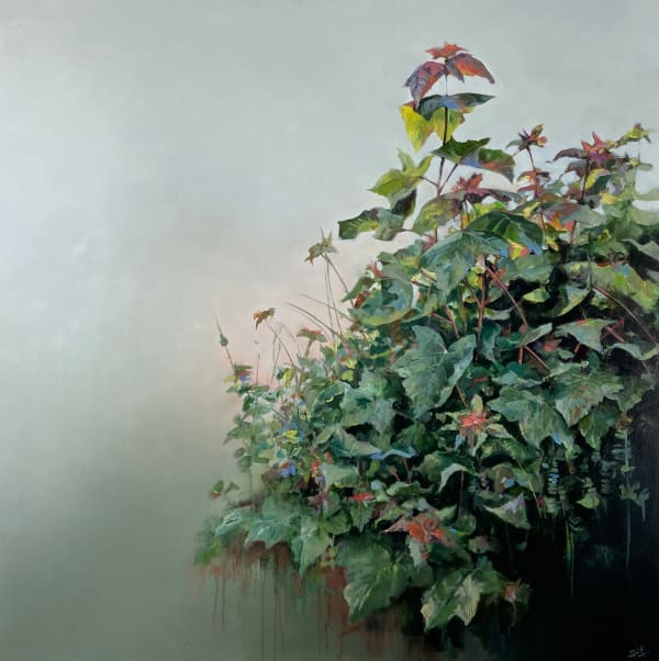 Russett in the Sycamore Saplings