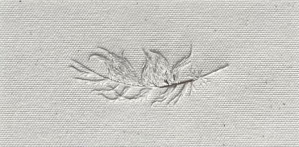 White Feather Domino Whisker