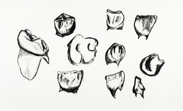 Baby Teeth I Vivienne Roche