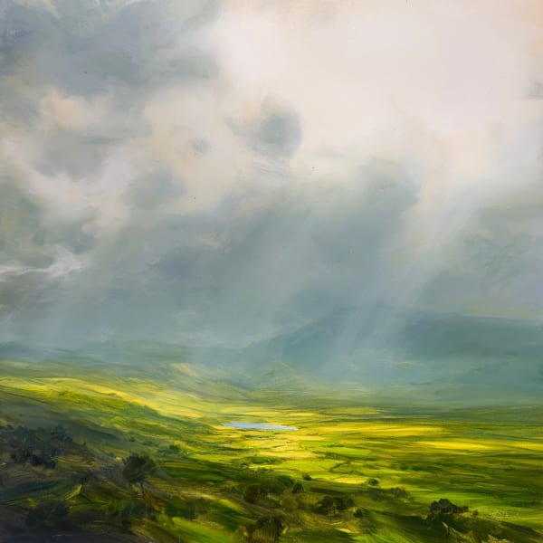 Illuminated Plains Harry Brioche