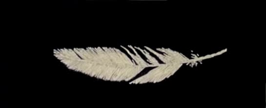 White Feather (from dad) Domino Whisker