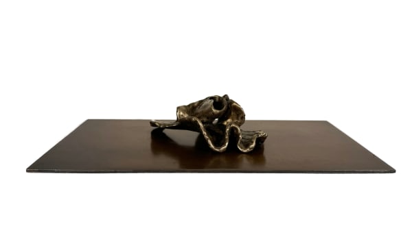 Twist II Vivienne Roche