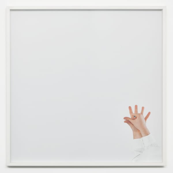 Steve Carr, Cock, 2005