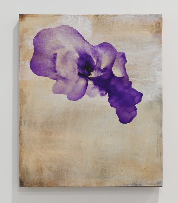 Antonio Murado, Untitled, 2020