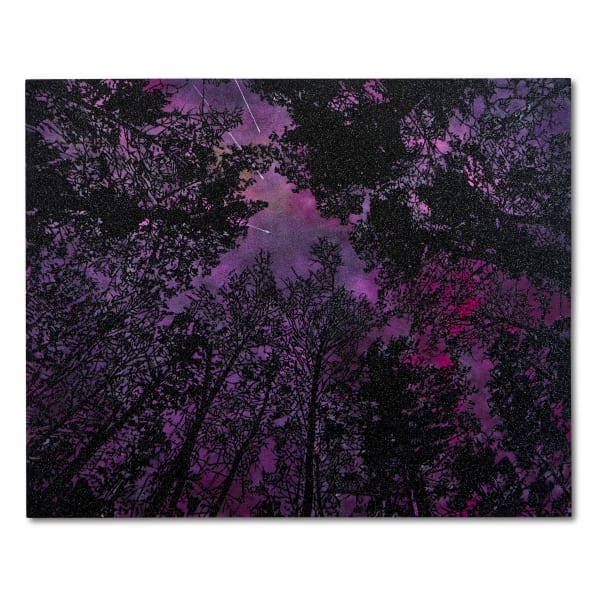 Reuben Paterson, One Beautiful Morning, in the Land of a Very Gentle People (Meteors Delta Aquariids, late July 28, 2025), 2025
