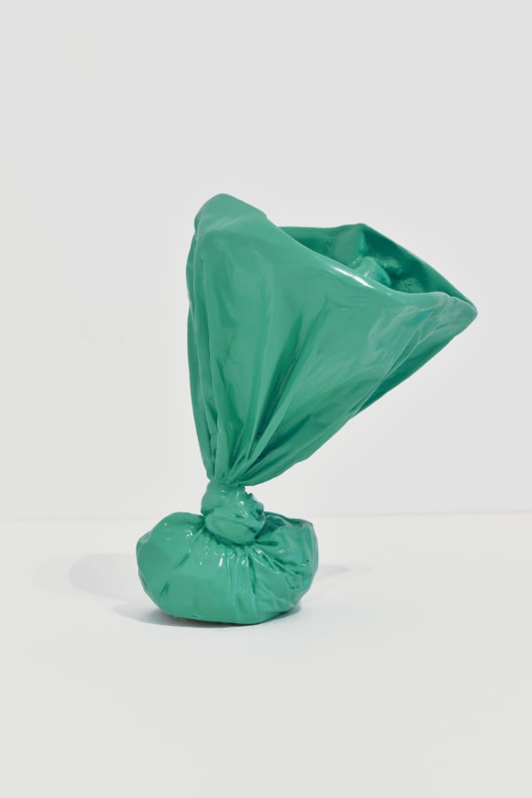 Steve Carr, Doggie Poo Bag, 2025