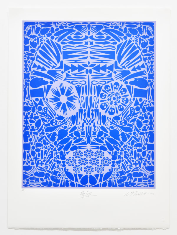 Chris Heaphy, My Eye, 2012