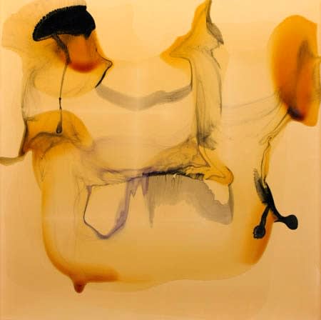 Dale Frank, Abaxial the Canary in the mind, 2008