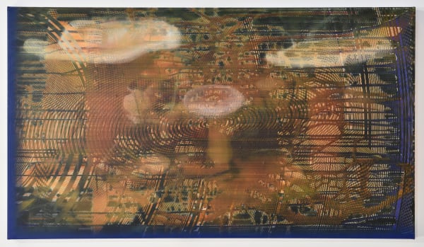 James Cousins, Untitled (Wills), 2014