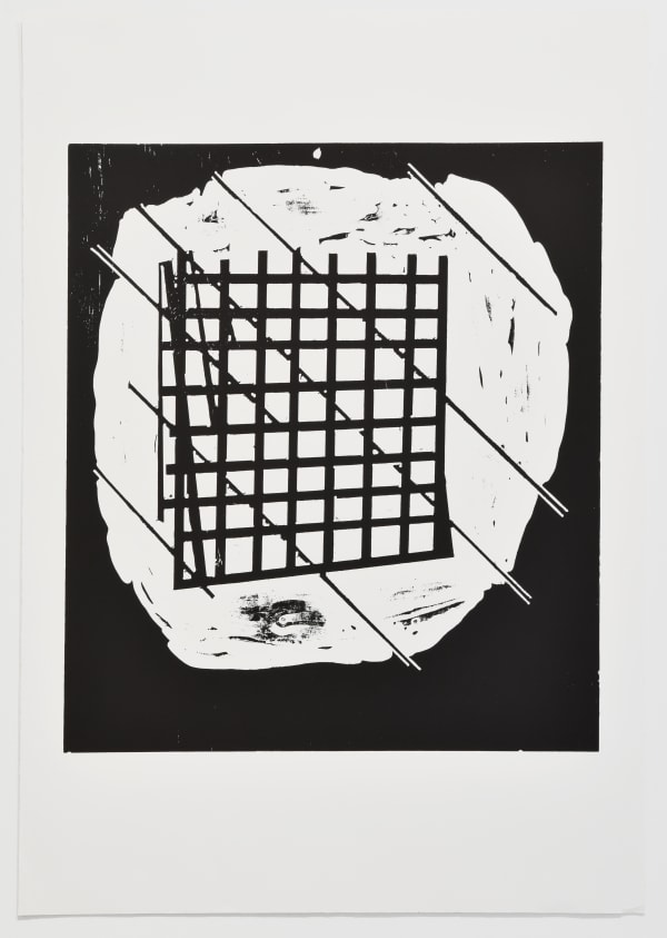 James Cousins, Detritus, 2007