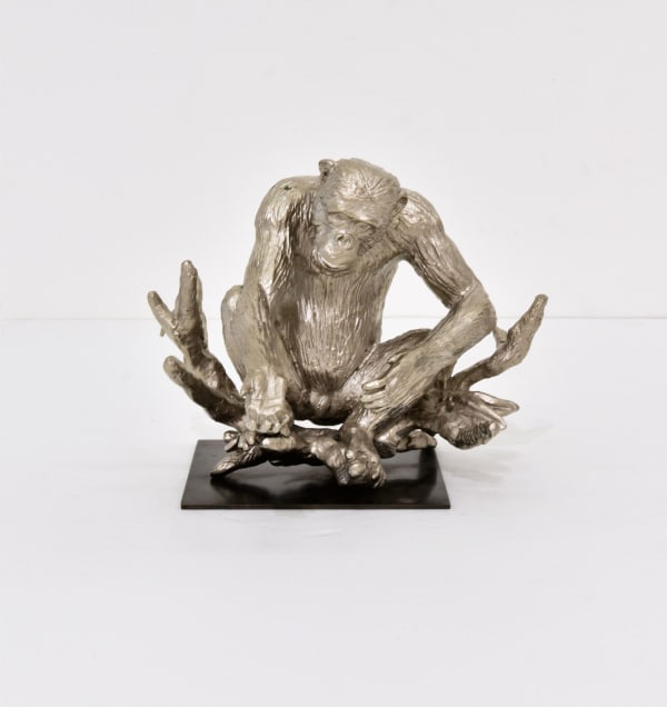 Lisa Roet, David Greybeard Edition for Global Tour, 2020