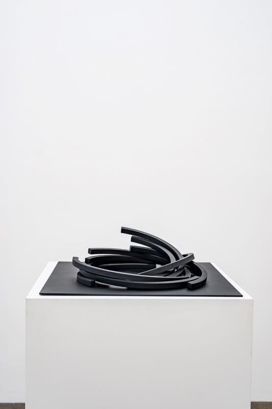 Bernar Venet, 149.5˚ Arc x 10, 2015