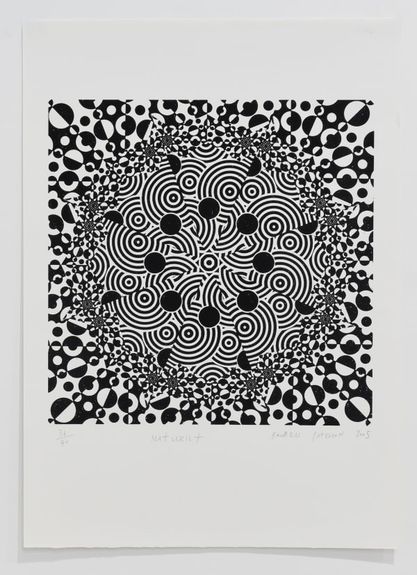 Reuben Paterson, Naturist, 2005