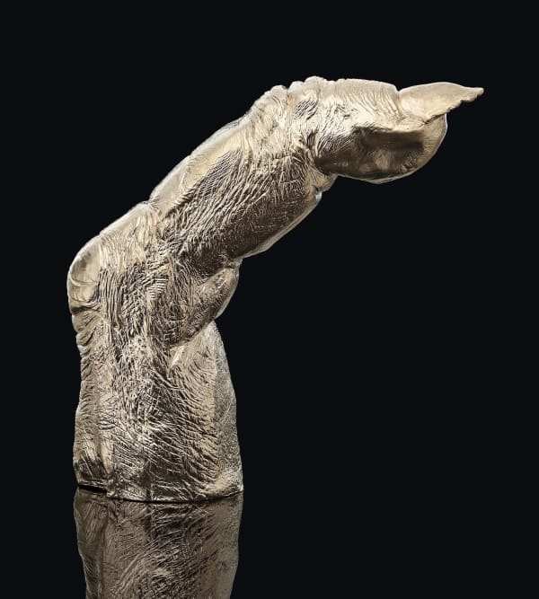 Lisa Roet, Gold Finger, 2015