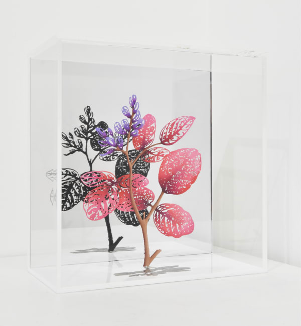 Zadok Ben-David, Late Bloom, 2023