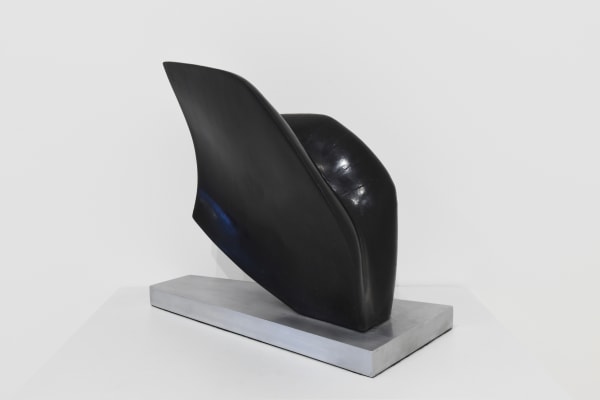 Tanya Ashken, Sea Bird, 1964/2019