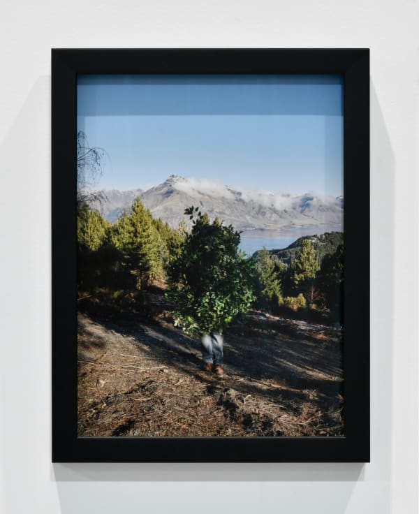 Steve Carr, Standing Bush 2, 2025