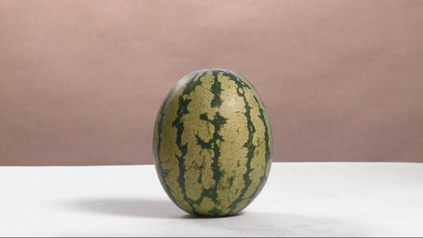 Steve Carr, Watermelon, 2015