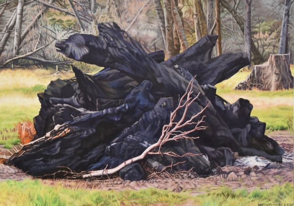 Dick Frizzell, Burnt Stumps, 26/3/2018