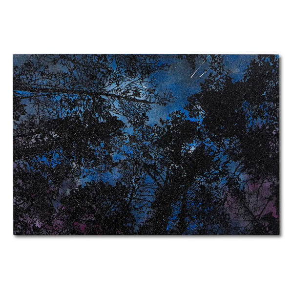 Reuben Paterson, My Room Lights Up (Meteor Fireball, July 12, 2025), 2025