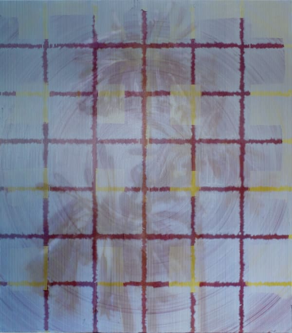 James Cousins, Untitled (pl 14), 2016