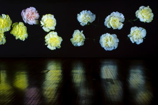 Steve Carr, Transpiration, 2014