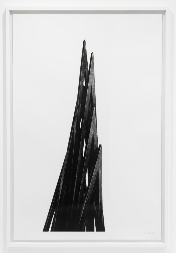 Bernar Venet, Acute Unequal Angles, 2017