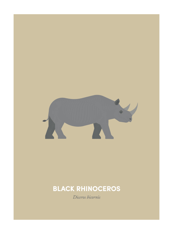 Under the Skin - Black Rhinoceros, 2021
