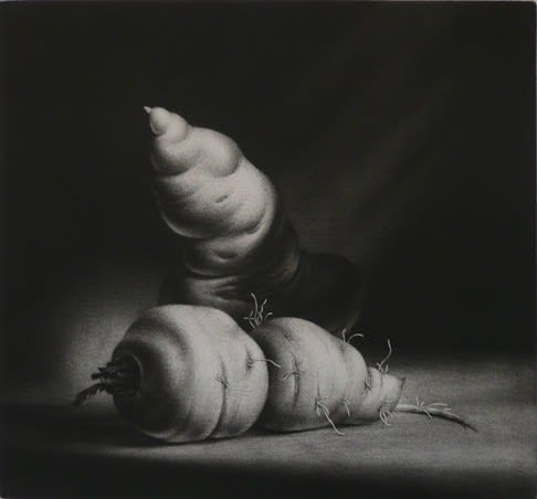 Konstantin Chmutin, Carrots, 1992