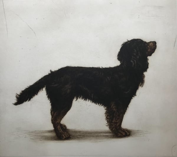 Helen Fay, Sika, 2021