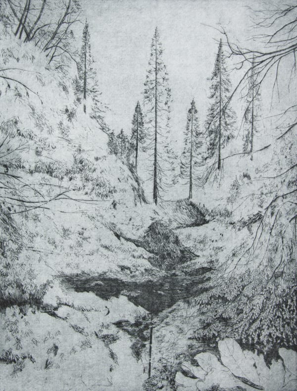 Calum McClure, Dark Pool, Benmore, 2015