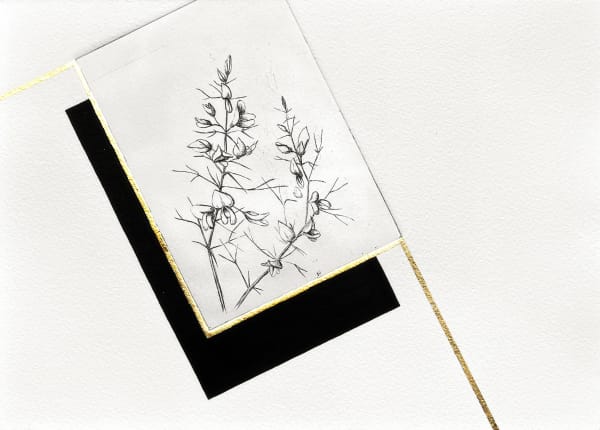 Maria Bygrove, Gorse, 2025