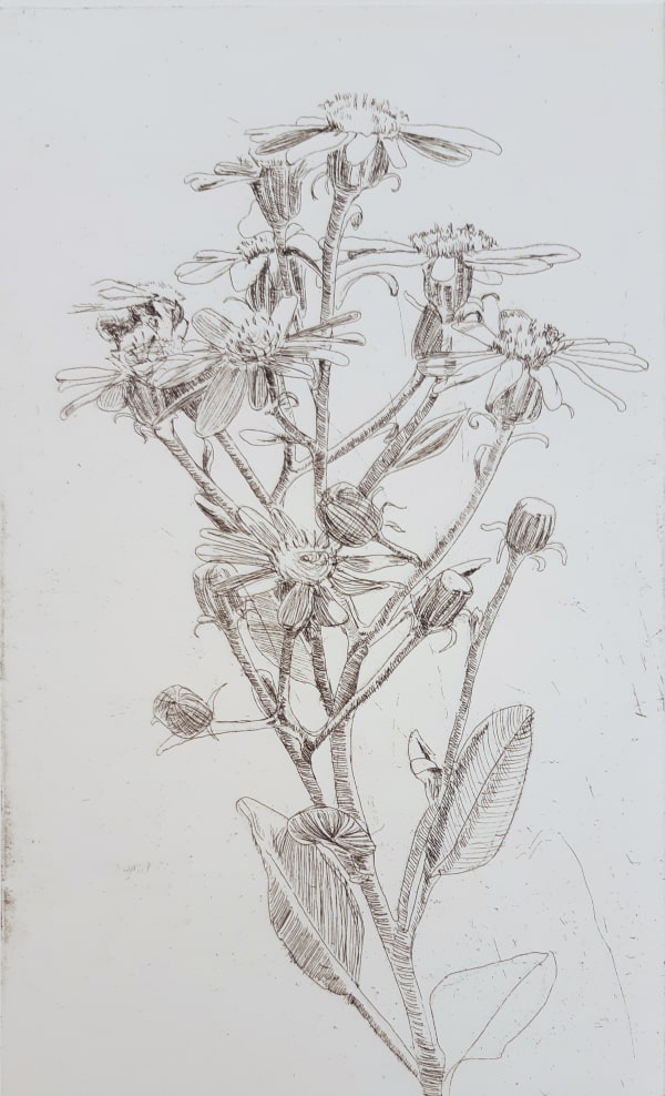 Jane Gardiner, Dusty Miller, 2022