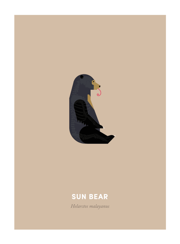Under the Skin, Sun Bear, 2016