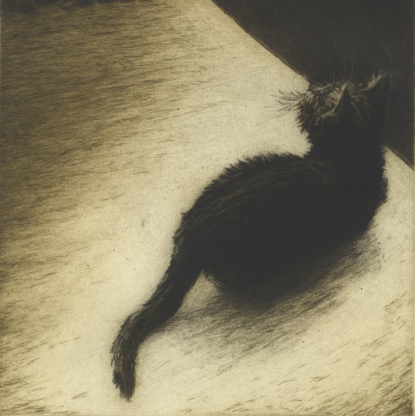 Helen Fay, Curious Wilf, 2018