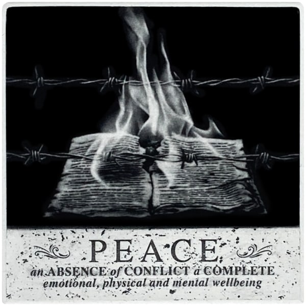 Stuart Duffin - Burning Peace, 2024