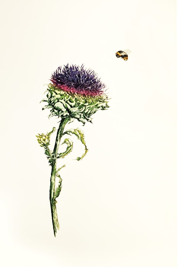 Jan Williamson - Untitled, 2012