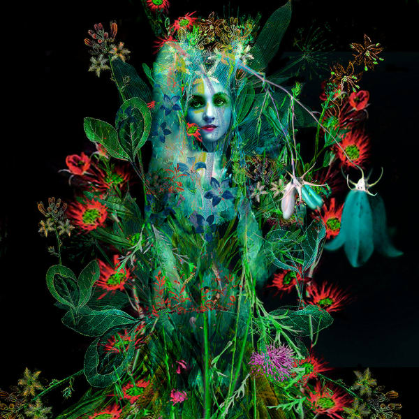 Ashley Cook, Growing wild