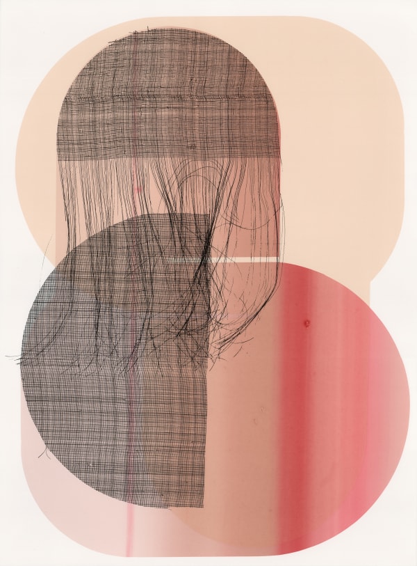 Claire Barclay, Thinskins, 2024-25