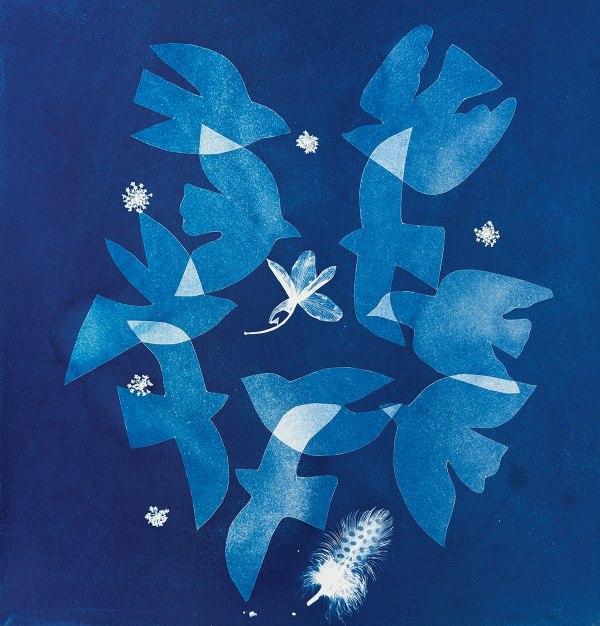 Fiona Watson, Everything is Connected, 2024